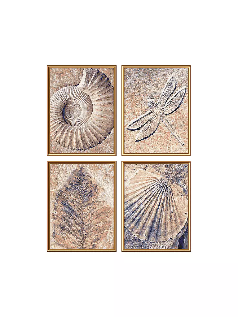 SCHIPPER | Malen nach Zahlen - Fossilien | keine Farbe