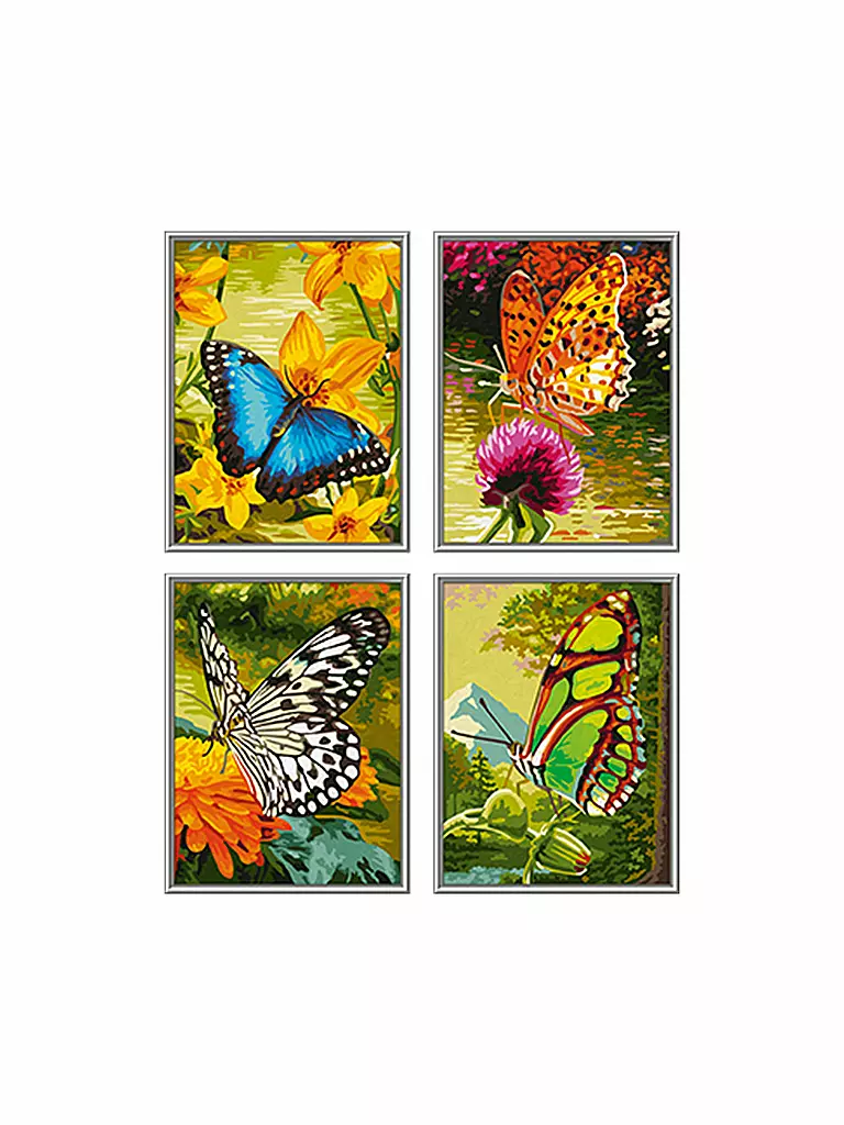 SCHIPPER | Malen nach Zahlen - Schmetterlinge | keine Farbe