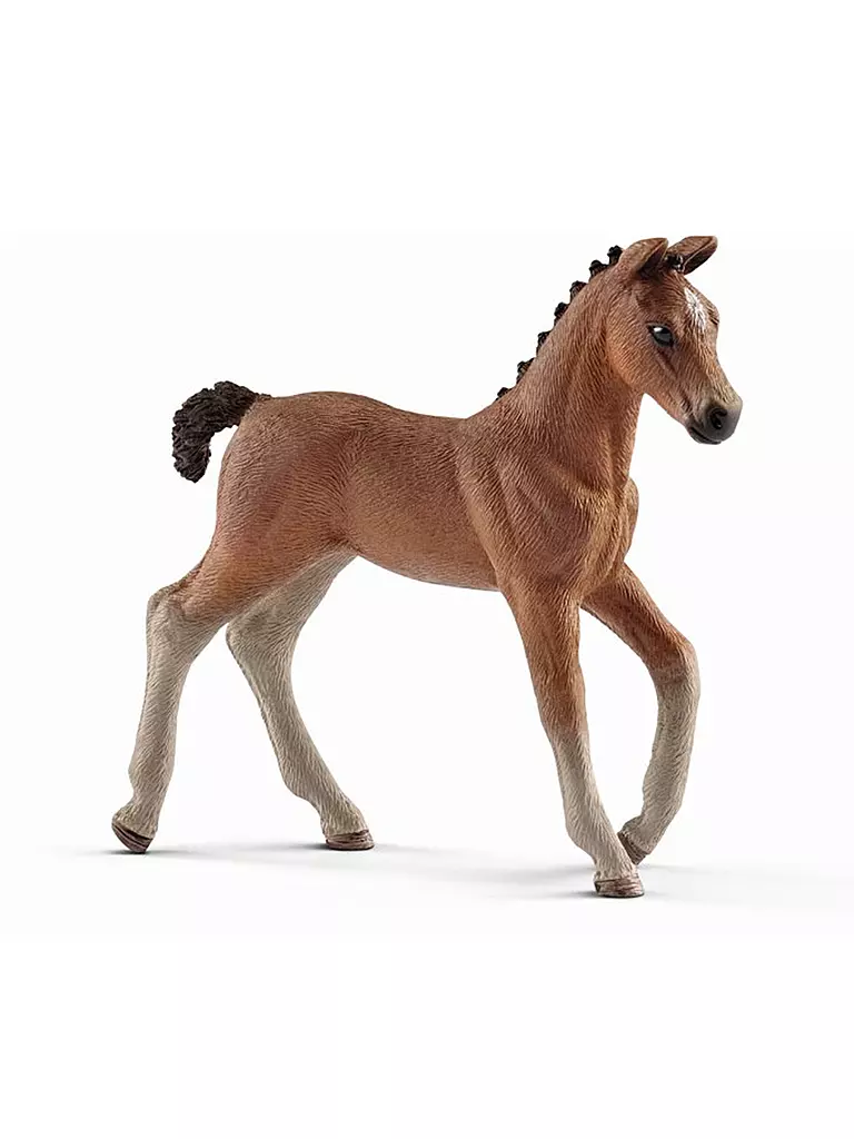 SCHLEICH | Hannoveraner Fohlen "Horse Club" 13818 | keine Farbe