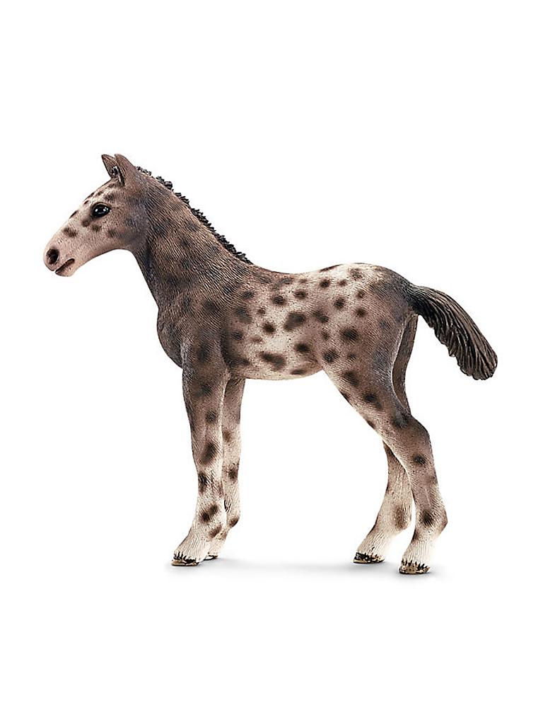 SCHLEICH | Knabstrupper Fohlen 13760 | transparent