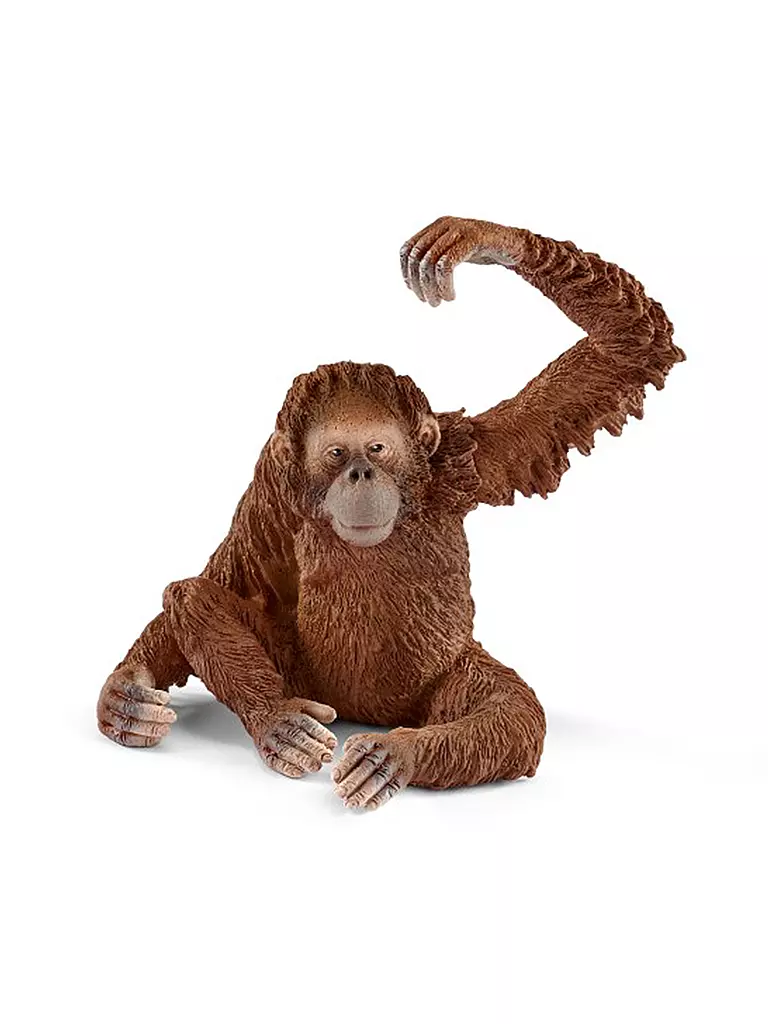 SCHLEICH | Orang-Utan Weibchen "Wild Life" 14775 | keine Farbe