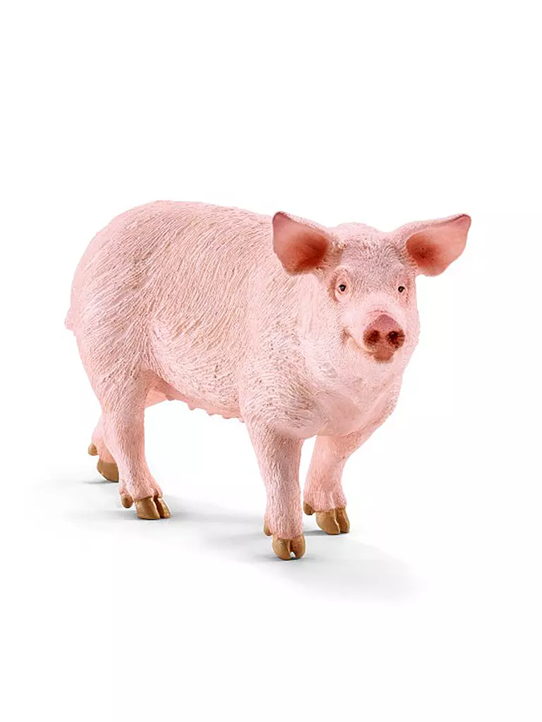 SCHLEICH | Schwein "Farm World" 13782 | keine Farbe