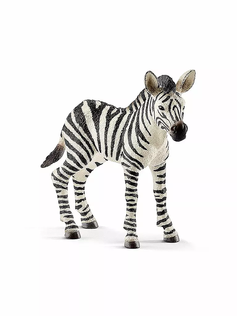 SCHLEICH | Zebra - Fohlen 14811 | keine Farbe
