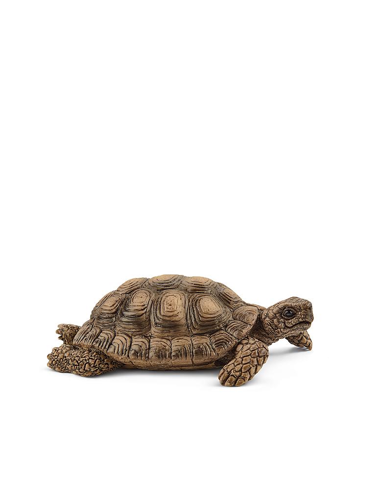 SCHLEICH | Zuhause für Schildkröten | keine Farbe