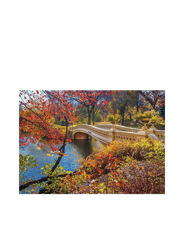 SCHMIDT-SPIELE | Puzzle - Spaziergang im Central Park, New York - 1000 Teile | keine Farbe