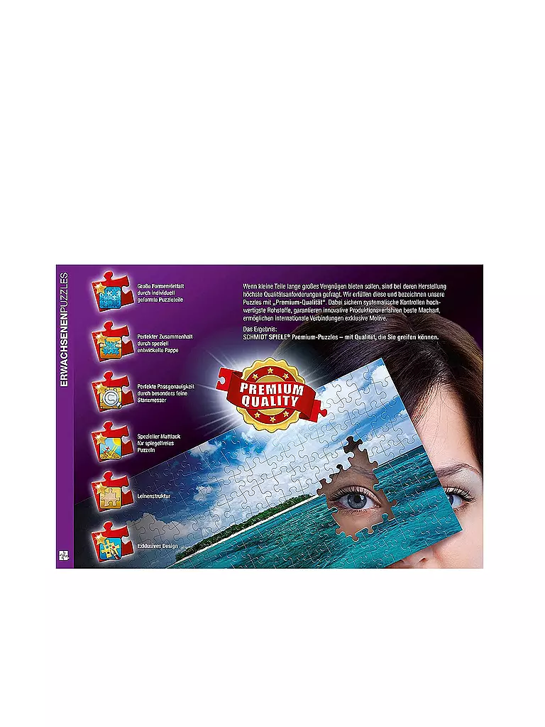 SCHMIDT-SPIELE | Puzzle - Thomas Kinkade Studios: Disney Dreams Collection - Mulan 1000 Teile | keine Farbe