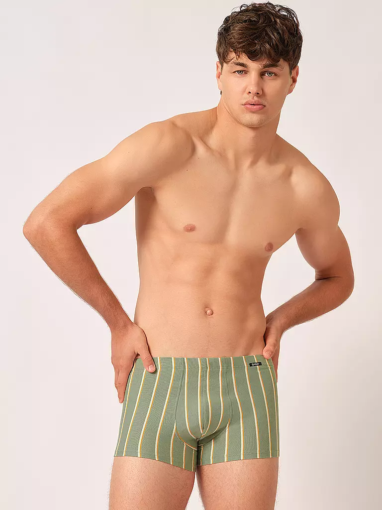 SKINY | Pants 2-er Pkg. greenbay stripes selection | grün