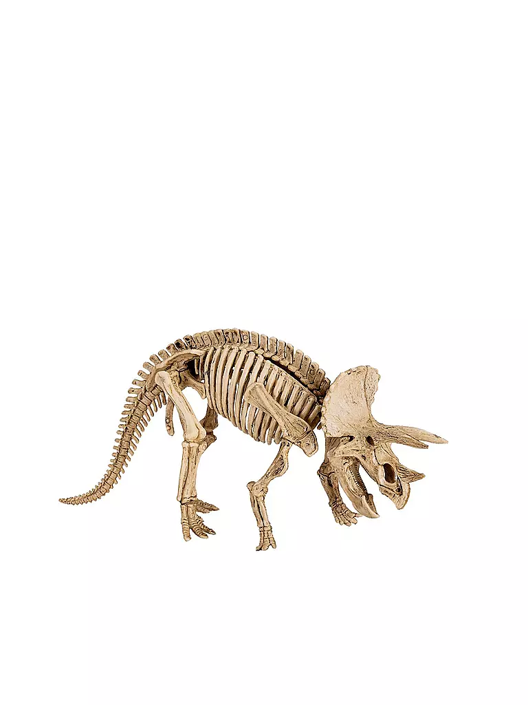 T-REX WORLD | Großes Ausgrabungsset Triceratops | keine Farbe