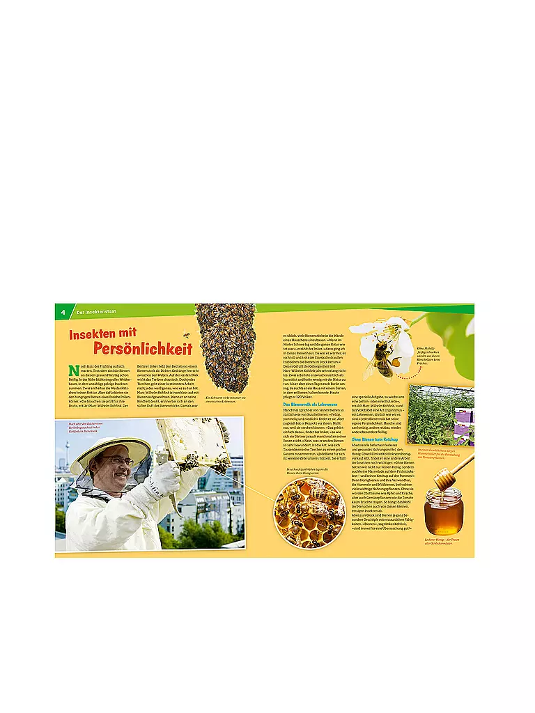 TESSLOFF VERLAG | Buch - Was ist Was - Bienen und Wespen - Flüssiges Gold und spitzer Stachel 19 | keine Farbe