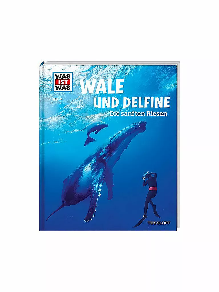 TESSLOFF VERLAG | Buch - Was ist Was - Wale und Delfine - Die sanften Riesen (85) | keine Farbe