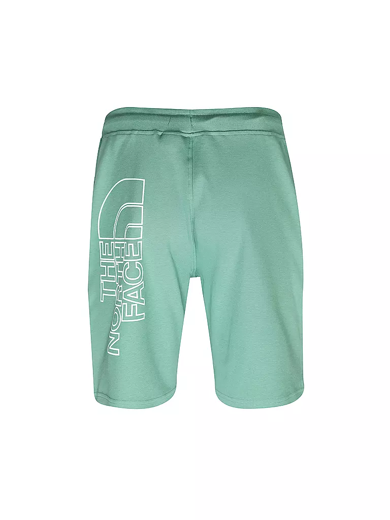 THE NORTH FACE | Shorts | grün