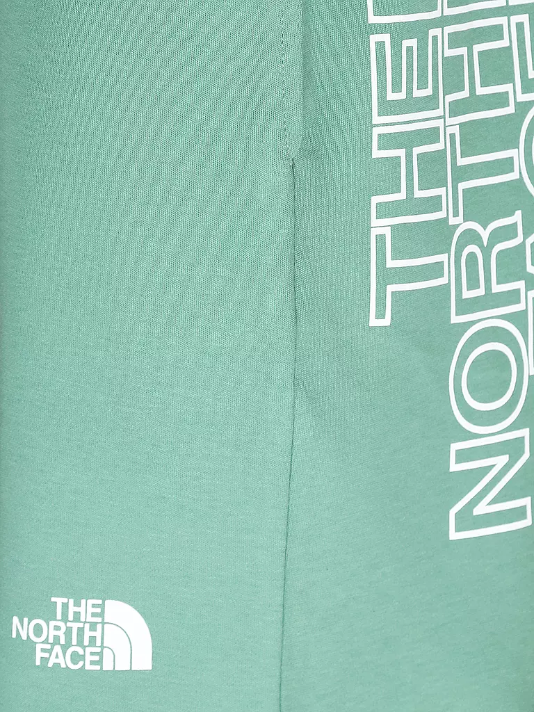 THE NORTH FACE | Shorts | grün