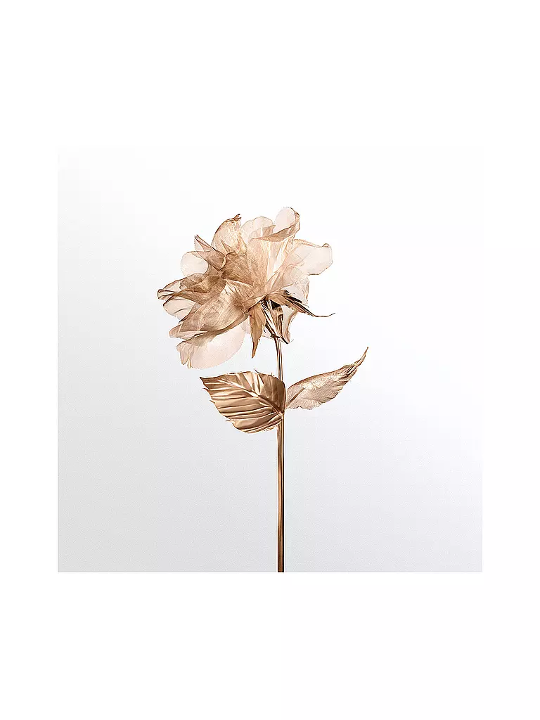 TIFFANY | Rose Gold Eau de Parfum 30ml | keine Farbe