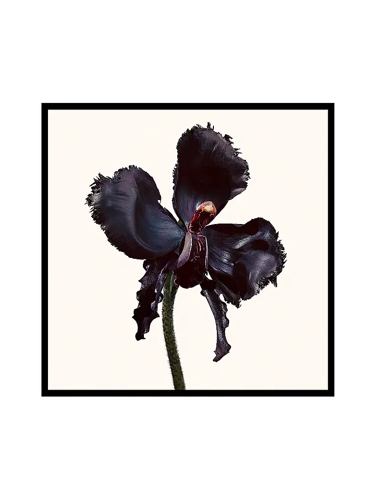 TOM FORD BEAUTY | Black Orchid Reserve 100ml | keine Farbe
