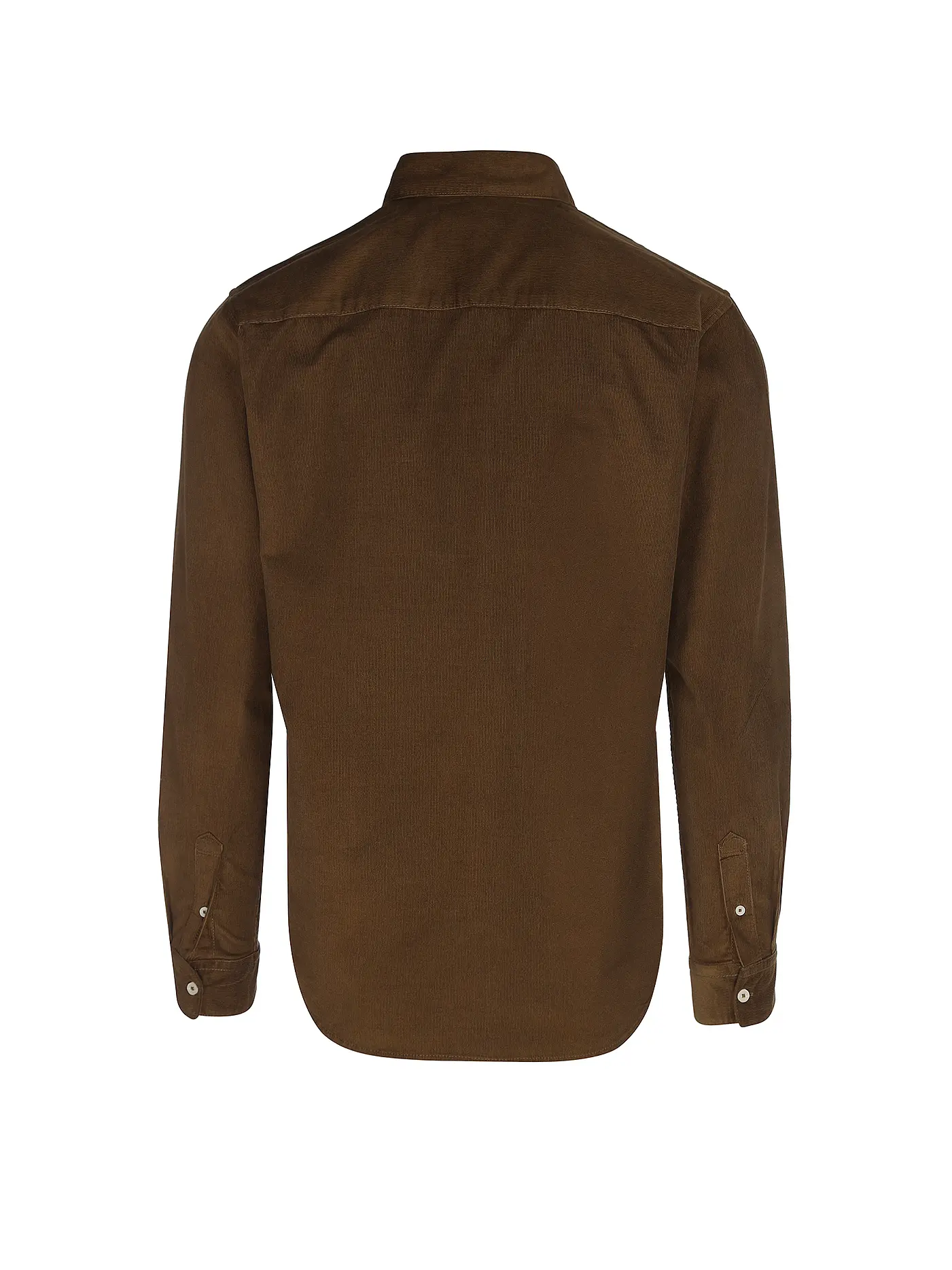 TOM TAILOR | Hemd Regular Fit | braun