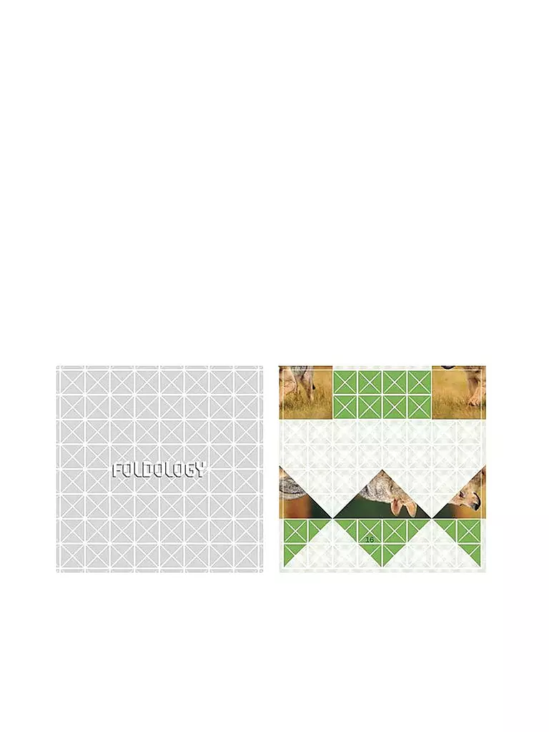 TOPP / FRECH VERLAG | Foldology – Das Origami-Rätselspiel | keine Farbe