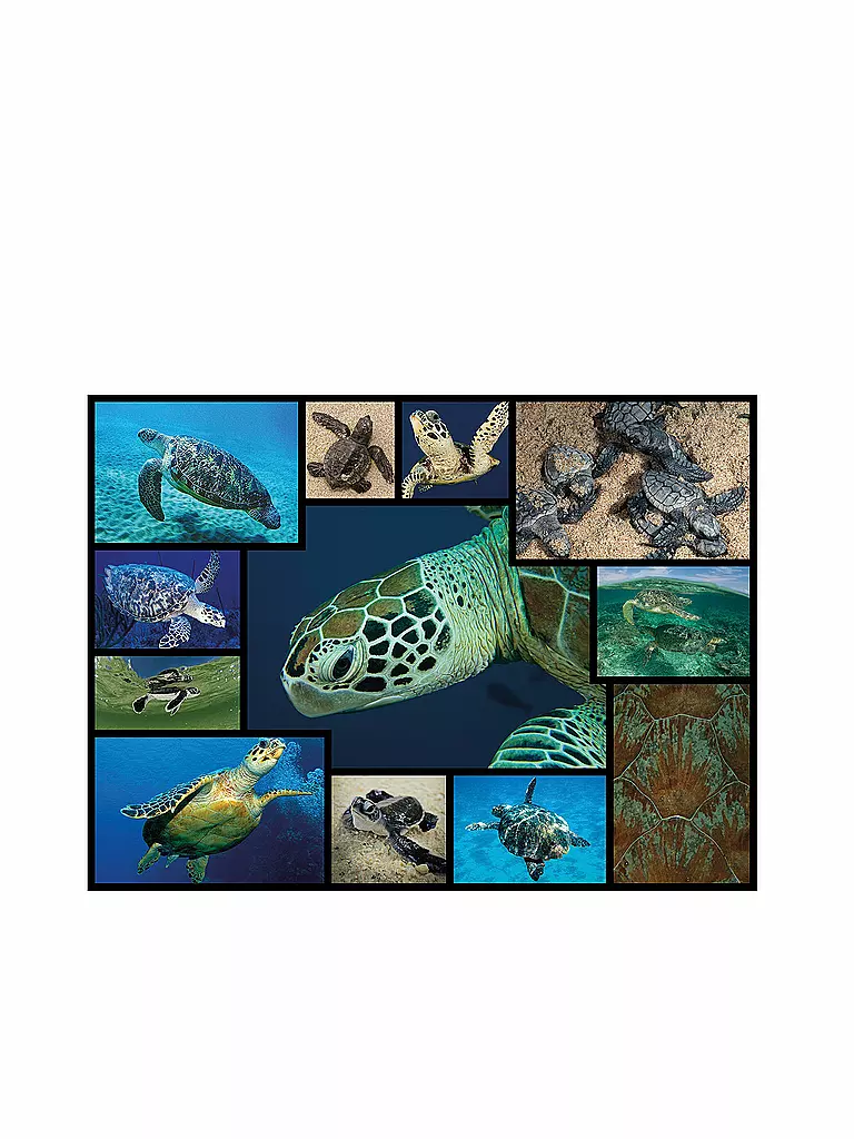 UNIDRAGON | Puzzle - Meeresschildkröten WWF 1000 Teile | keine Farbe