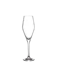 VILLEROY & BOCH | Toy's Delight Sektkelch Set 2tlg. 252mm | Transparent