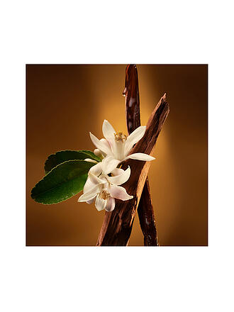 ZADIG & VOLTAIRE | ZADIG L'Intense Eau de Parfum Intense 30ml